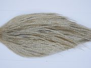 Yellowstone Rooster Cape Dun Grizzly Fly Tying Hackle