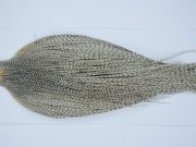 Yellowstone Rooster Cape Dun Grizzly Fly Tying Hackle