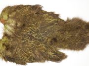 2517 Coq De Leon Dry Fly Hackle,   Rooster Soft Hackle with Chickabou Olive