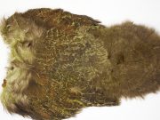 2518 Coq De Leon Dry Fly Hackle,   Rooster Soft Hackle with Chickabou Olive