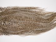 2556 Coq De Leon Dry Fly Hackle,  Rooster Saddle Grizzly