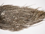 2557 Coq De Leon Dry Fly Hackle,  Rooster Saddle Grizzly