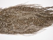 2558 Coq De Leon Dry Fly Hackle,  Gold Grade Rooster Saddle Grizzly