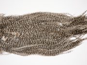 2561 Coq De Leon Dry Fly Hackle,  Gold Grade Rooster Saddle Grizzly