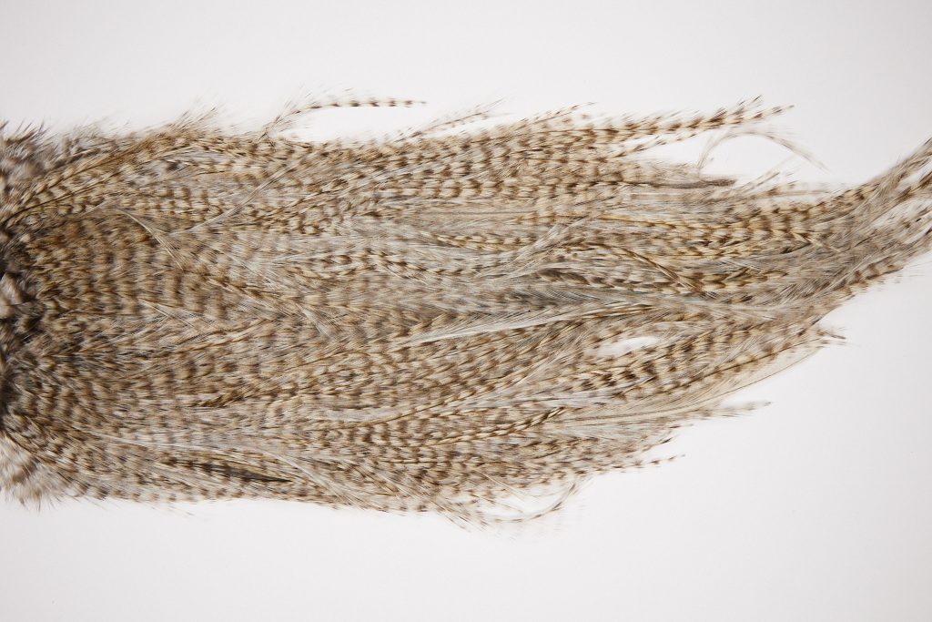 2562 Coq De Leon Dry Fly Hackle,  Rooster Saddle Grizzly