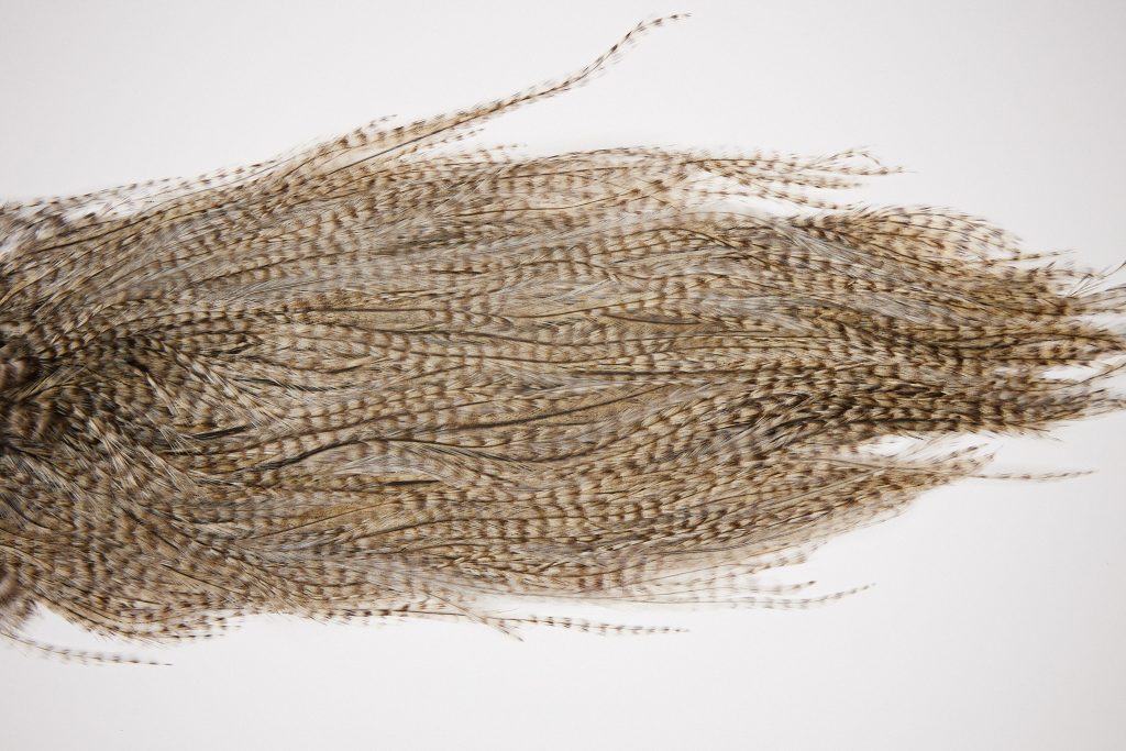 2565 Coq De Leon Dry Fly Hackle,  Rooster Saddle Grizzly