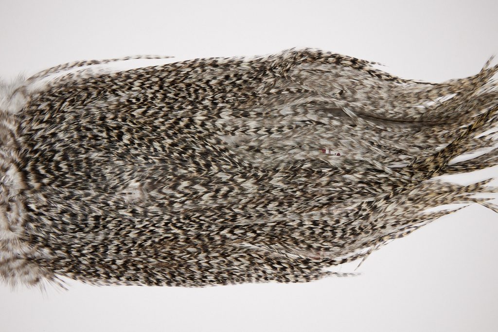 2567 Coq De Leon Dry Fly Hackle,  Gold Grade Rooster Saddle Grizzly