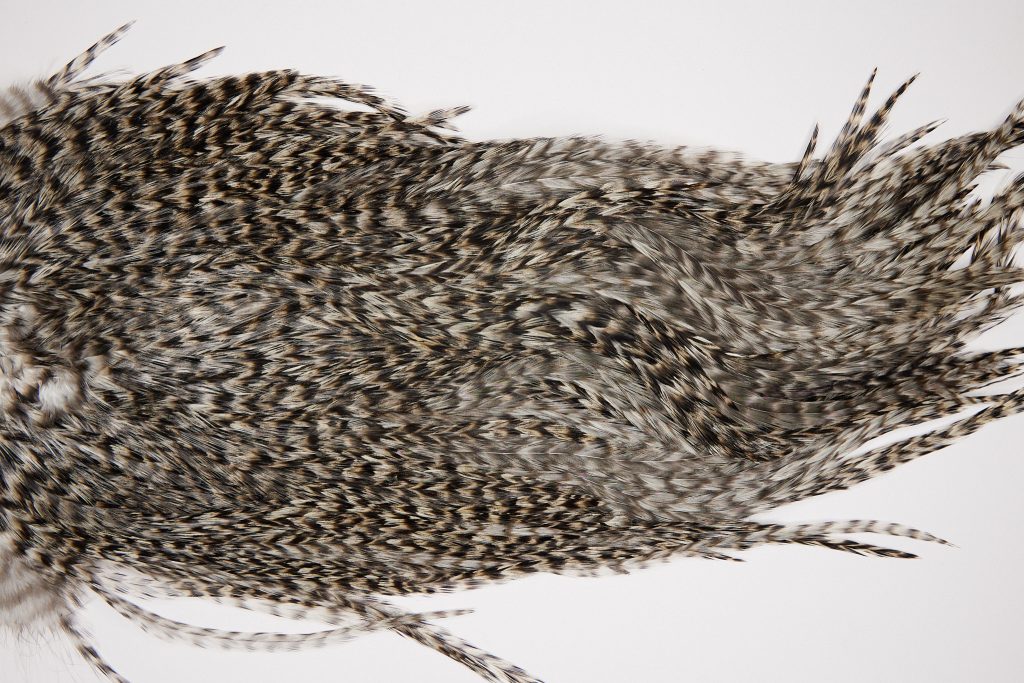 2570 Coq De Leon Dry Fly Hackle,  Gold Grade Rooster Saddle Grizzly