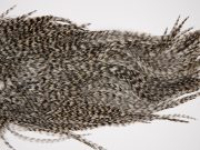 2570 Coq De Leon Dry Fly Hackle,  Gold Grade Rooster Saddle Grizzly