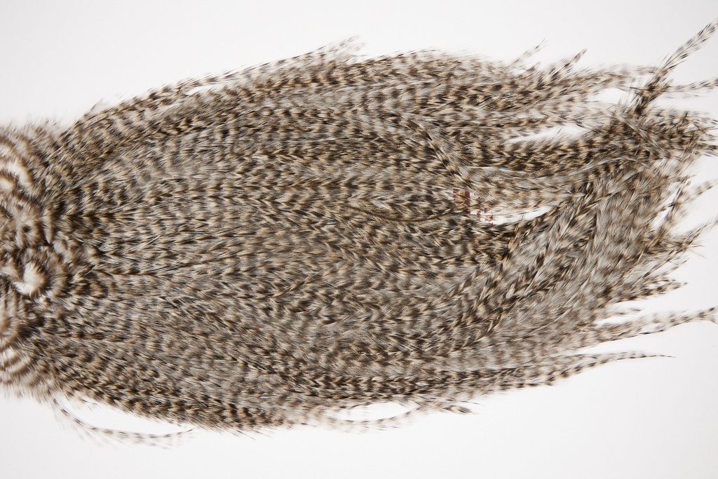 2574 Coq De Leon Dry Fly Hackle,  Rooster Saddle Grizzly