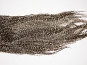 2575 Coq De Leon Dry Fly Hackle,  Rooster Saddle Grizzly