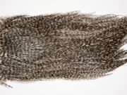 2576 Coq De Leon Dry Fly Hackle,  Gold Grade Rooster Saddle Grizzly