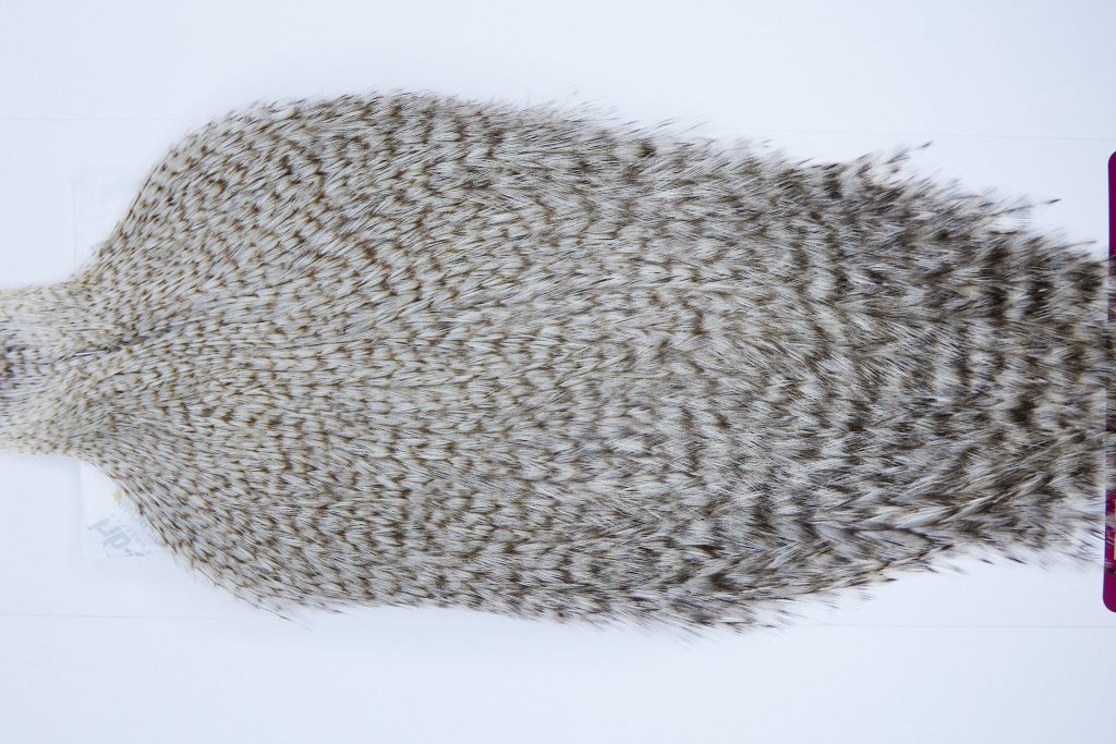 2608 Coq De Leon Dry Fly Hackle,  Rooster Cape Grizzly Pardo