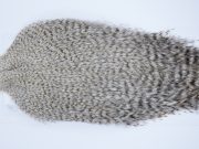 2608 Coq De Leon Dry Fly Hackle,  Rooster Cape Grizzly Pardo