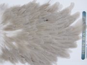 2744 Hebert Hen Saddle Light Grey Dun