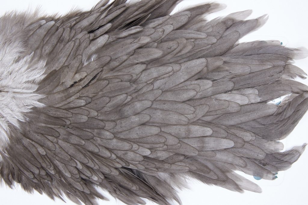 2747 Hebert Hen Saddle Dark Grey Dun