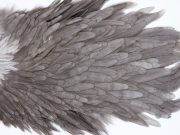 2747 Hebert Hen Saddle Dark Grey Dun