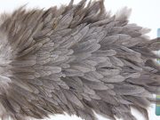 2748 Hebert Hen Saddle Dark Grey Dun