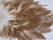 2756 Hebert Hen Saddle Variant