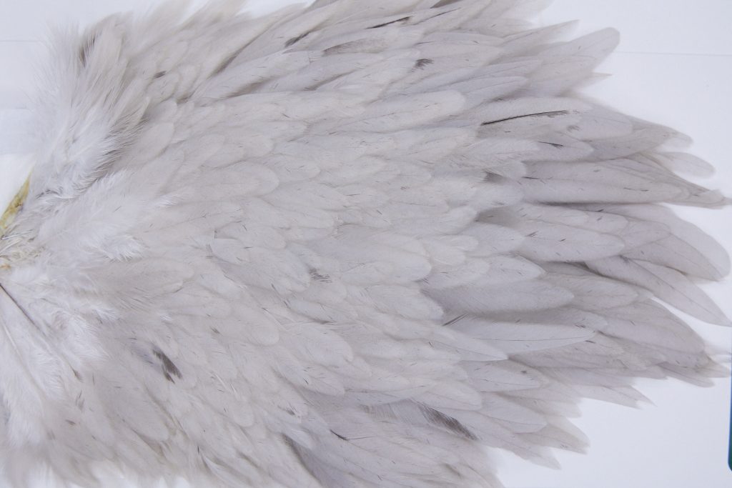 2757 Hebert Hen Saddle Variant