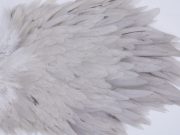 2757 Hebert Hen Saddle Variant