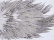 2758 Hebert Hen Saddle Variant