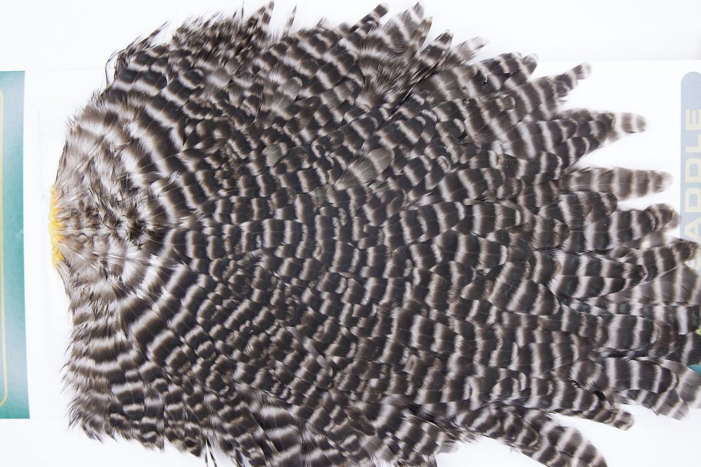 2765 Hebert Hen Saddle Grizzly