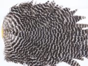 2765 Hebert Hen Saddle Grizzly