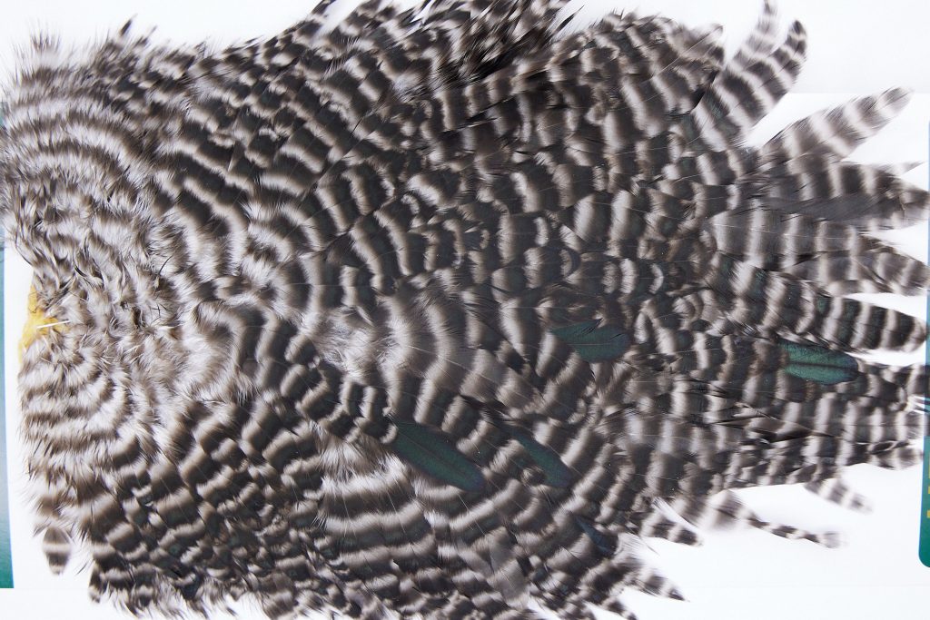 2766 Hebert Hen Saddle Grizzly