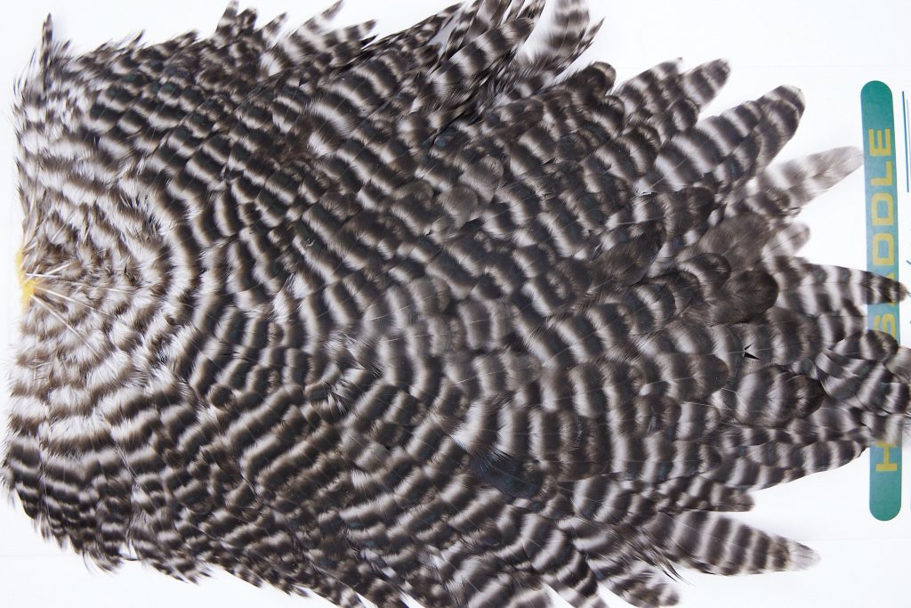 2769 Hebert Hen Saddle Grizzly