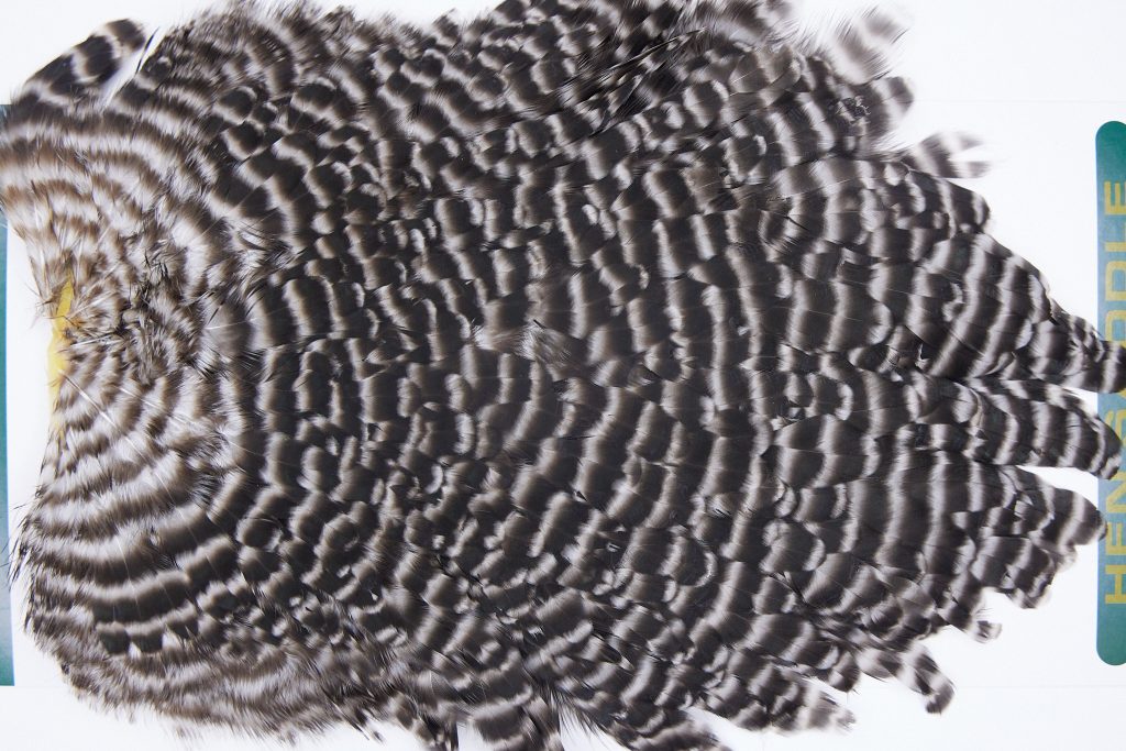 2770 Hebert Hen Saddle Grizzly