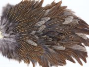 2784 Hebert Hen Saddle Wild Type Brown