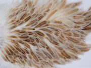 2792 Hebert Hen Saddle Medium Ginger