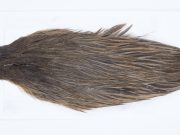 2795 Hebert Hen Cape Dark Brown Dun