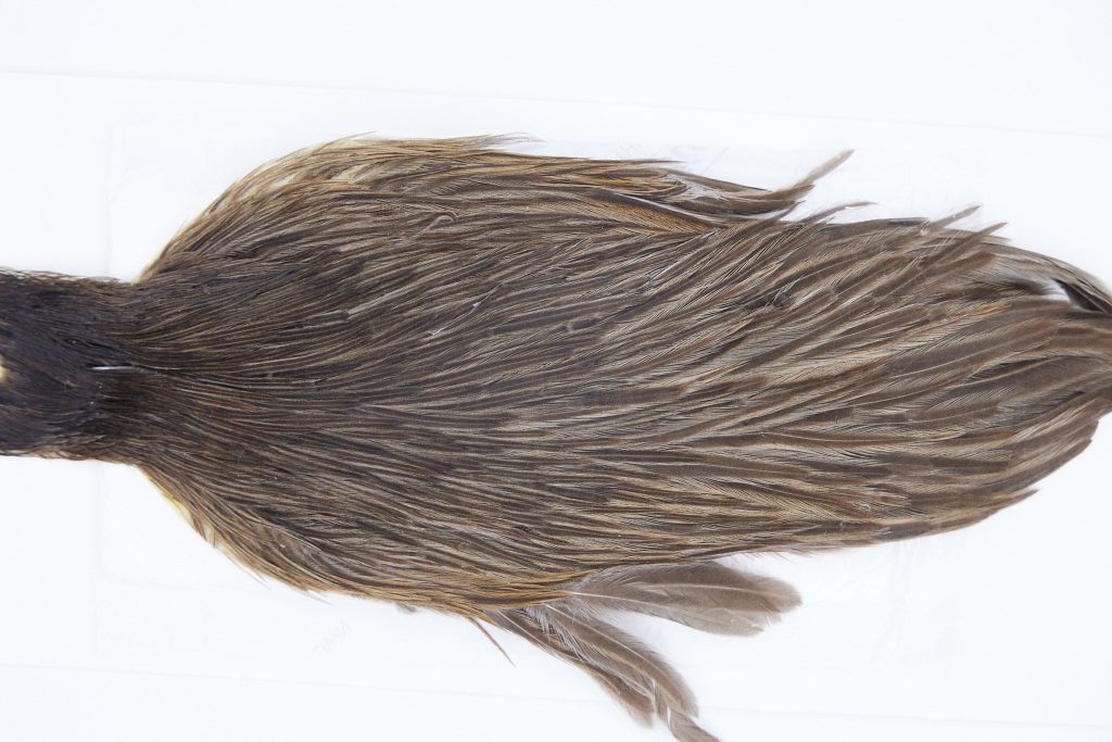 2800 Hebert Hen Cape Dark Brown Dun