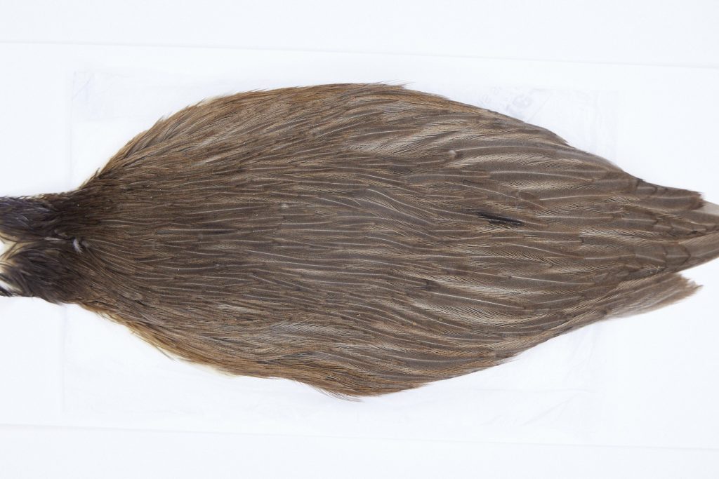 2801 Hebert Hen Cape Dark Brown Dun