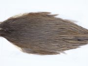 2804 Hebert Hen Cape Dark Brown Dun