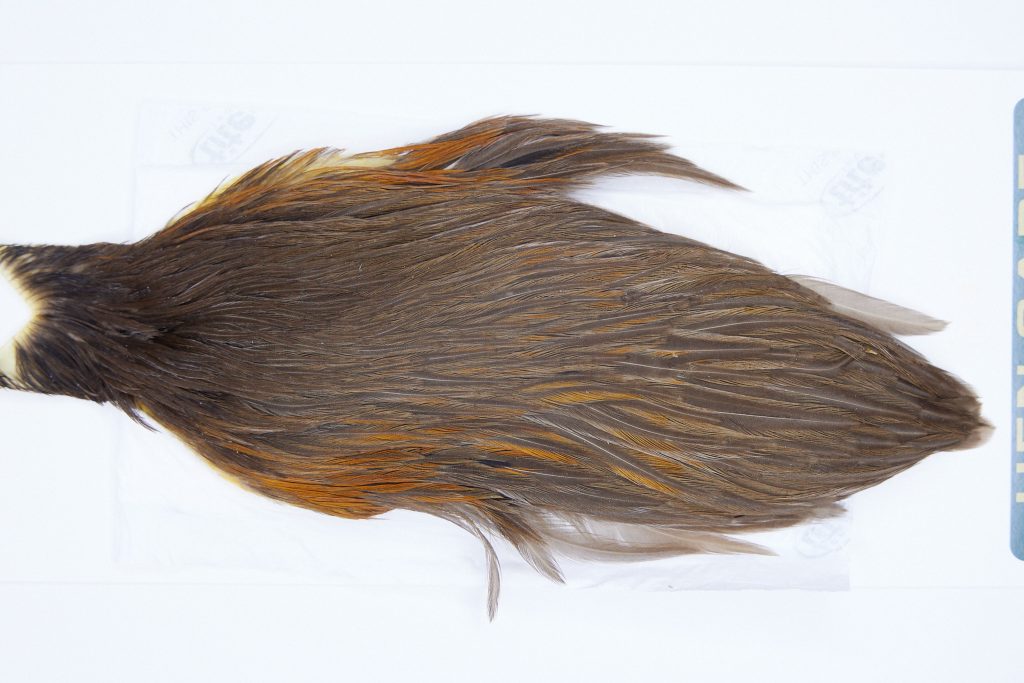 2806 Hebert Hen Cape Dark Brown Dun