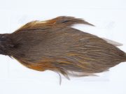 2806 Hebert Hen Cape Dark Brown Dun