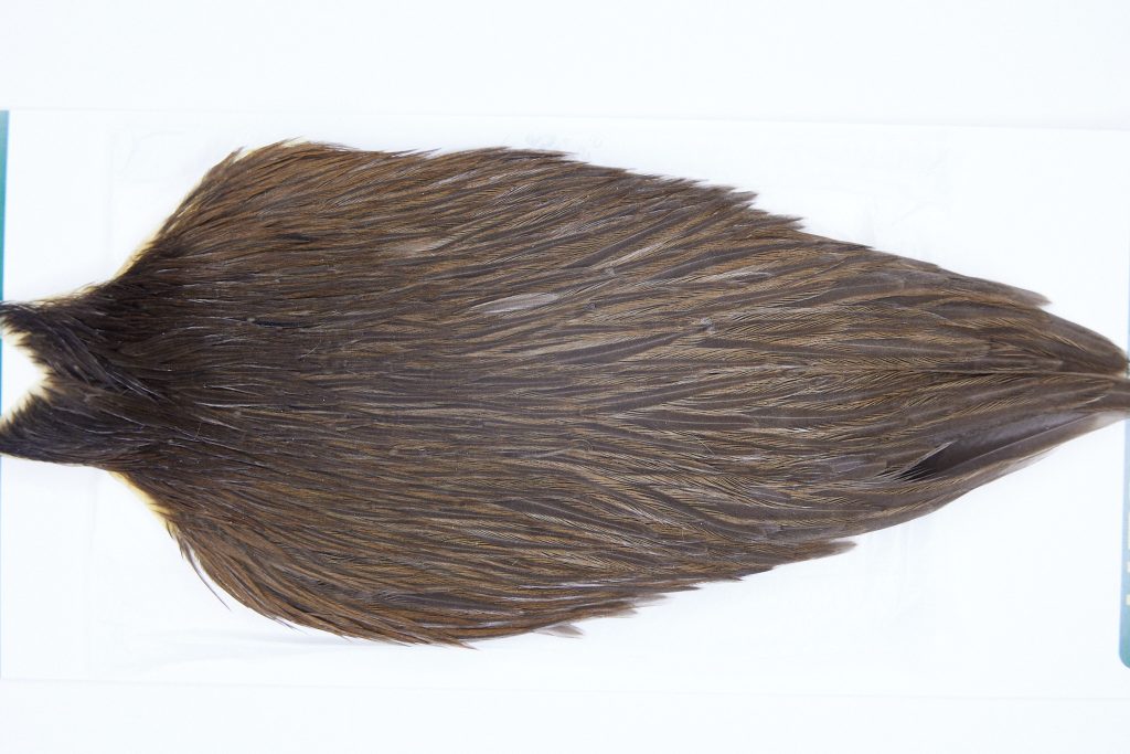 2807 Hebert Hen Cape Dark Brown Dun