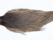 2811 Hebert Hen Cape Dark Brown Dun