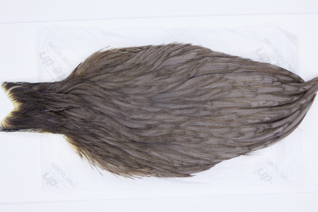 2817 Hebert Hen Cape Dark Grey Dun