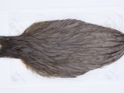 2817 Hebert Hen Cape Dark Grey Dun