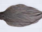 2818 Hebert Hen Cape Dark Grey Dun