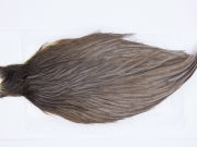 2821 Hebert Hen Cape Dark Grey Dun