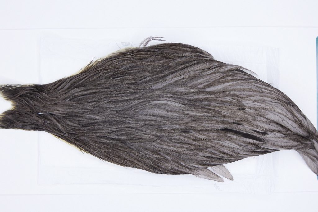 2822 Hebert Hen Cape Dark Grey Dun