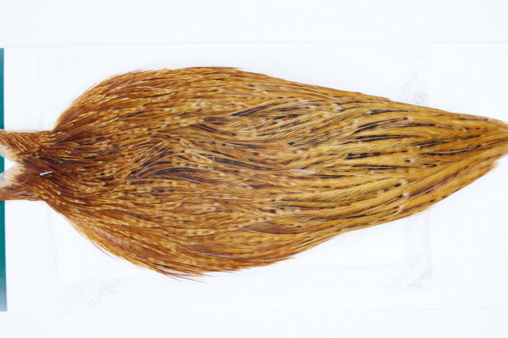 2835 Hebert Hen Cape Medium Ginger