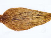 2835 Hebert Hen Cape Medium Ginger