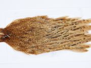 2836 Hebert Hen Cape Medium Ginger