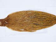 2841 Hebert Hen Cape Medium Ginger